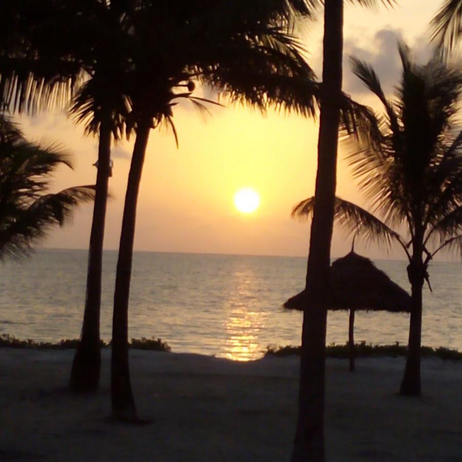 Bwejuu Beach Palm Villa Exterior foto